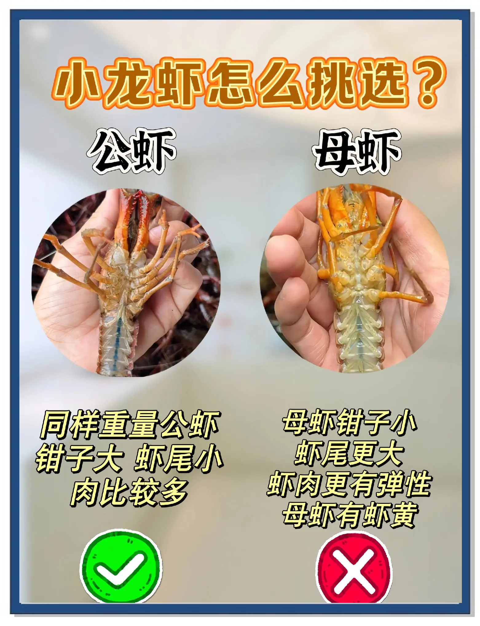 小龙虾养殖方法和环境百度词条，龙虾