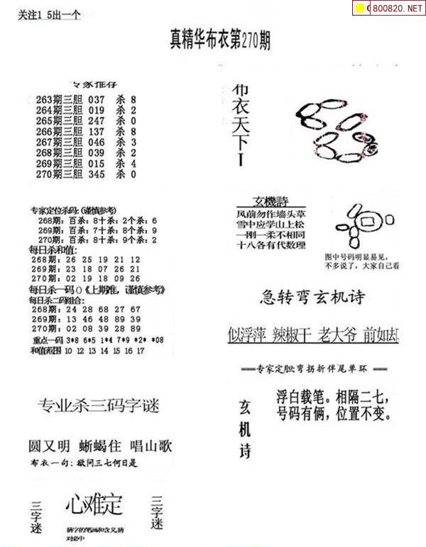 2024精华版布衣图全图解析