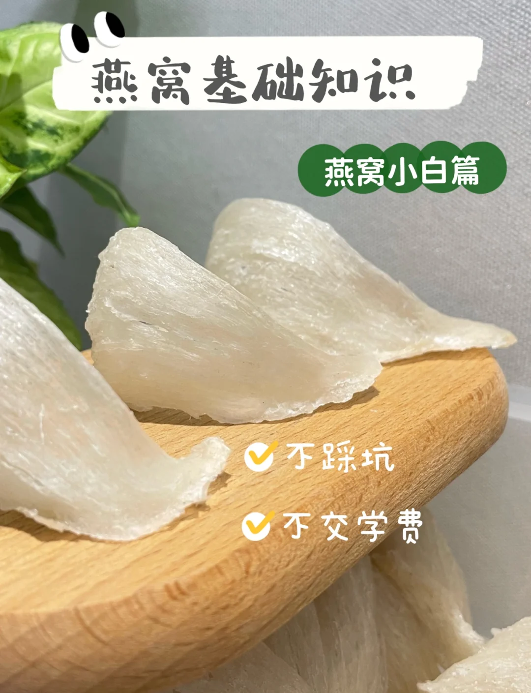 天然燕窝价格50克 多少钱天然燕窝价格解析-第1张图片