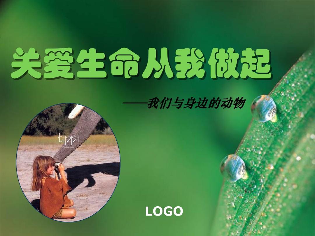 特殊待遇急诊室，关爱与效率的完美结合-第1张图片