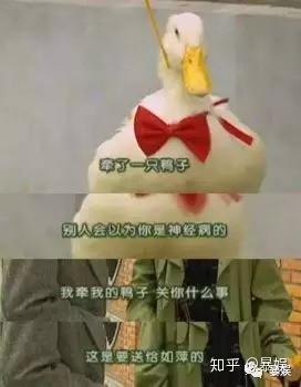 初爱电视剧在线观看第一集初爱视频教程，解锁甜蜜恋爱新篇章
