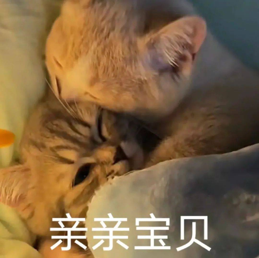 情侣剧烈做运动的表情包会动情侣剧烈做运动的表情包