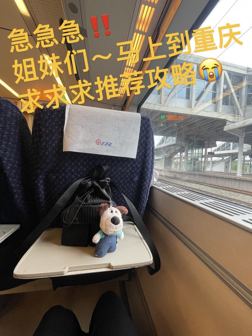 北京到重庆动车之旅