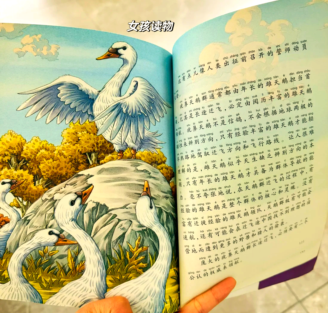 白天鹅高手论坛com港澳白天鹅高手论坛，探索天鹅界的精英之路-第1张图片