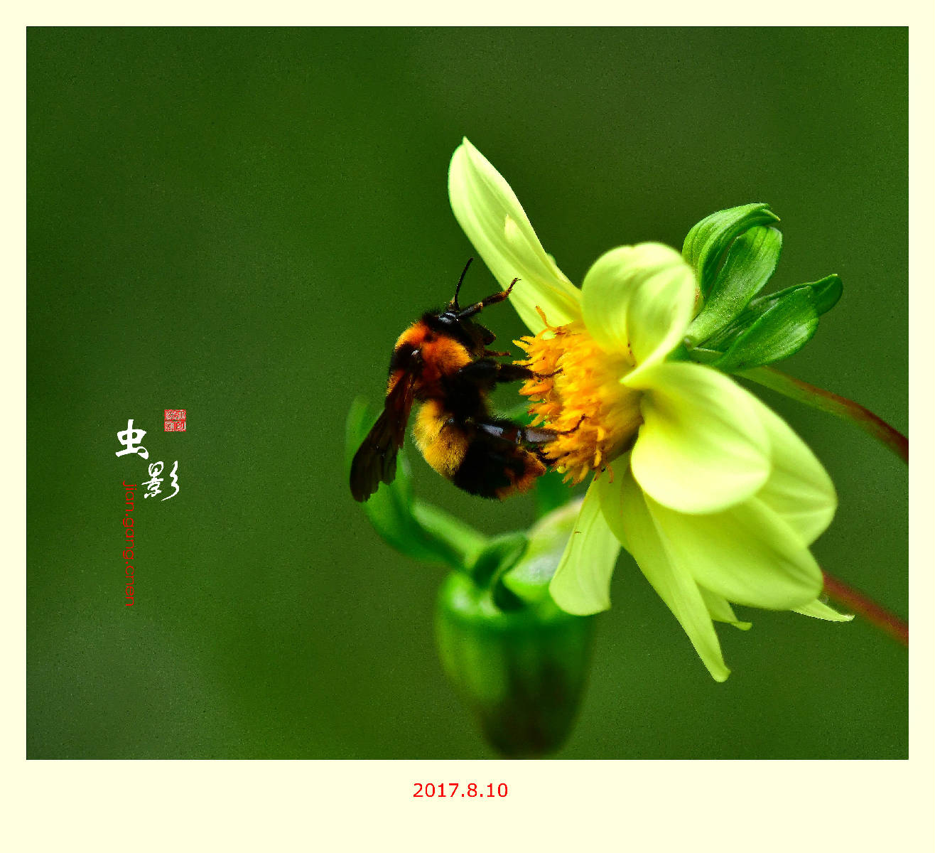 虫虫高手论坛虫虫高手论坛，探索网络社区的新天地