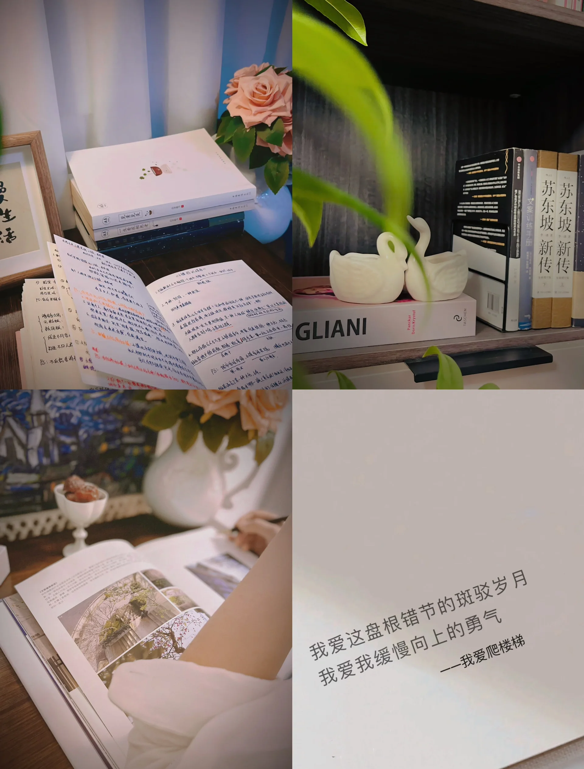 香蕉与忘忧草，缓解焦虑的天然良药-第3张图片