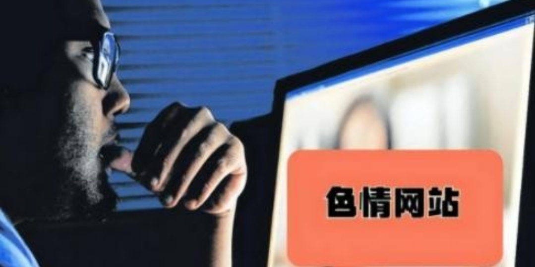 老色驴网站，色情内容的泛滥与监管困境-第1张图片