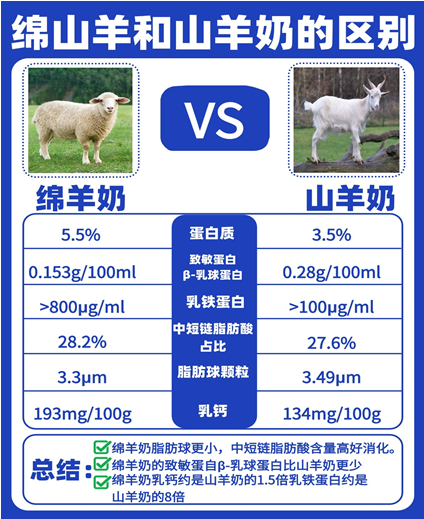 久草.com，探索互联网新纪元-第2张图片