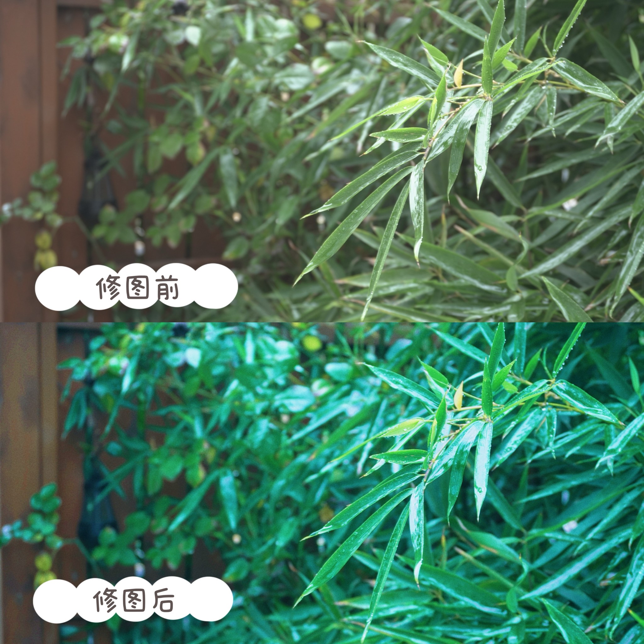 怎么摸小花园的技巧和方法如何摸小花园，技巧与方法-第1张图片