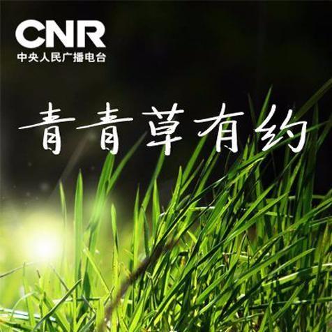 青青草免费费观看青青草免费观看-第3张图片