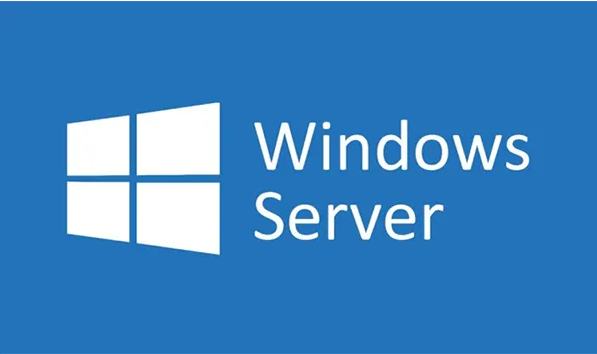 中国老奶奶vpswindows中国老奶奶的VPS Windows体验-第2张图片