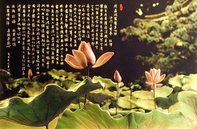 东方心经图库图片 彩图东方心经图，探寻内心的智慧之光-第3张图片
