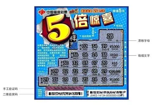 三肖三期必开特肖，揭秘彩票游戏-第2张图片