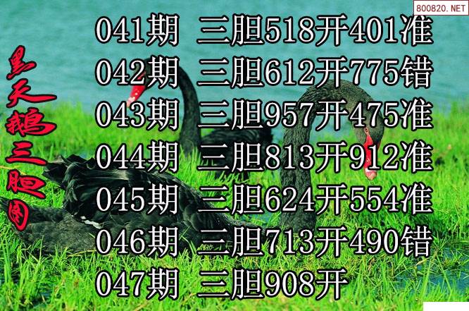 3d大本营3D大本营，探索未知的冒险之旅-第2张图片
