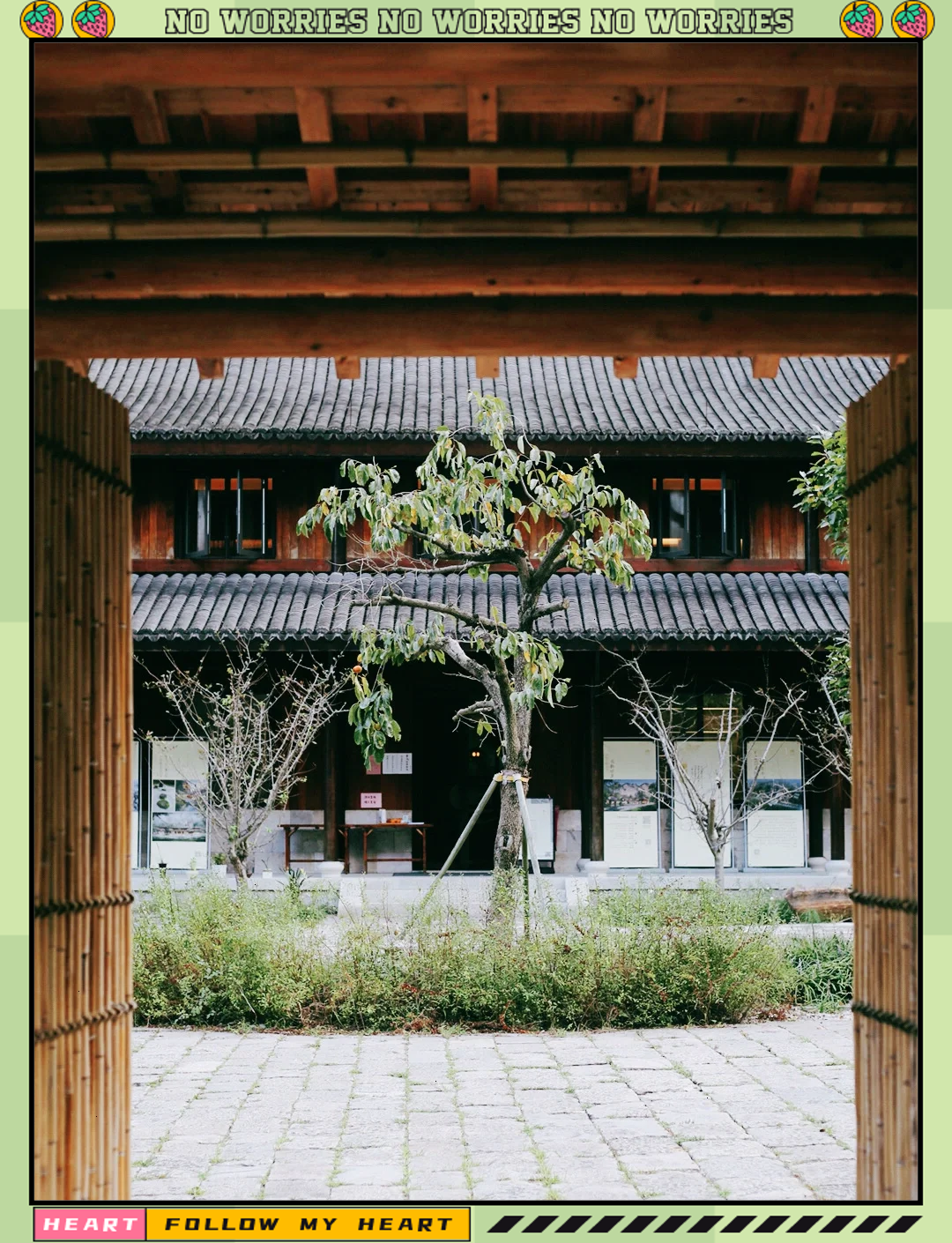 忘忧草日本高清频道H忘忧草日本高清频道，探索心灵的宁静之地-第1张图片