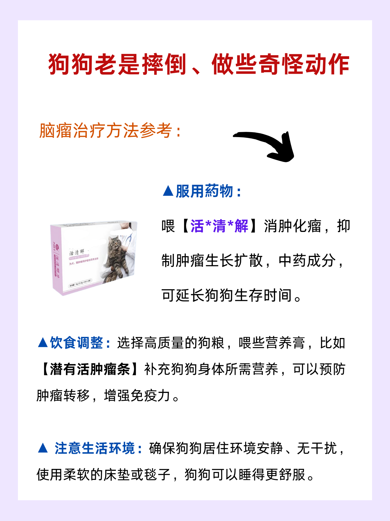 狗狗好厉害半个小时狗狗好厉害，半小时的神奇表现-第1张图片