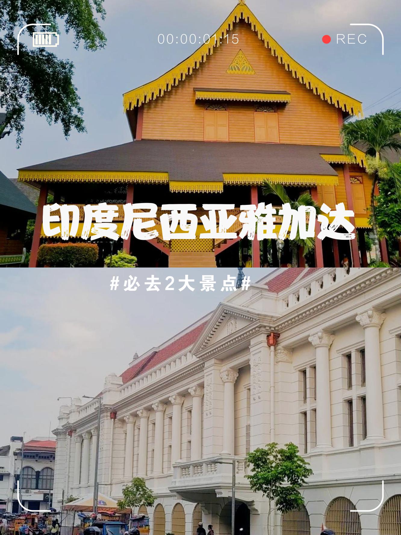 SesekuSeseku，探索多元文化与智慧-第1张图片