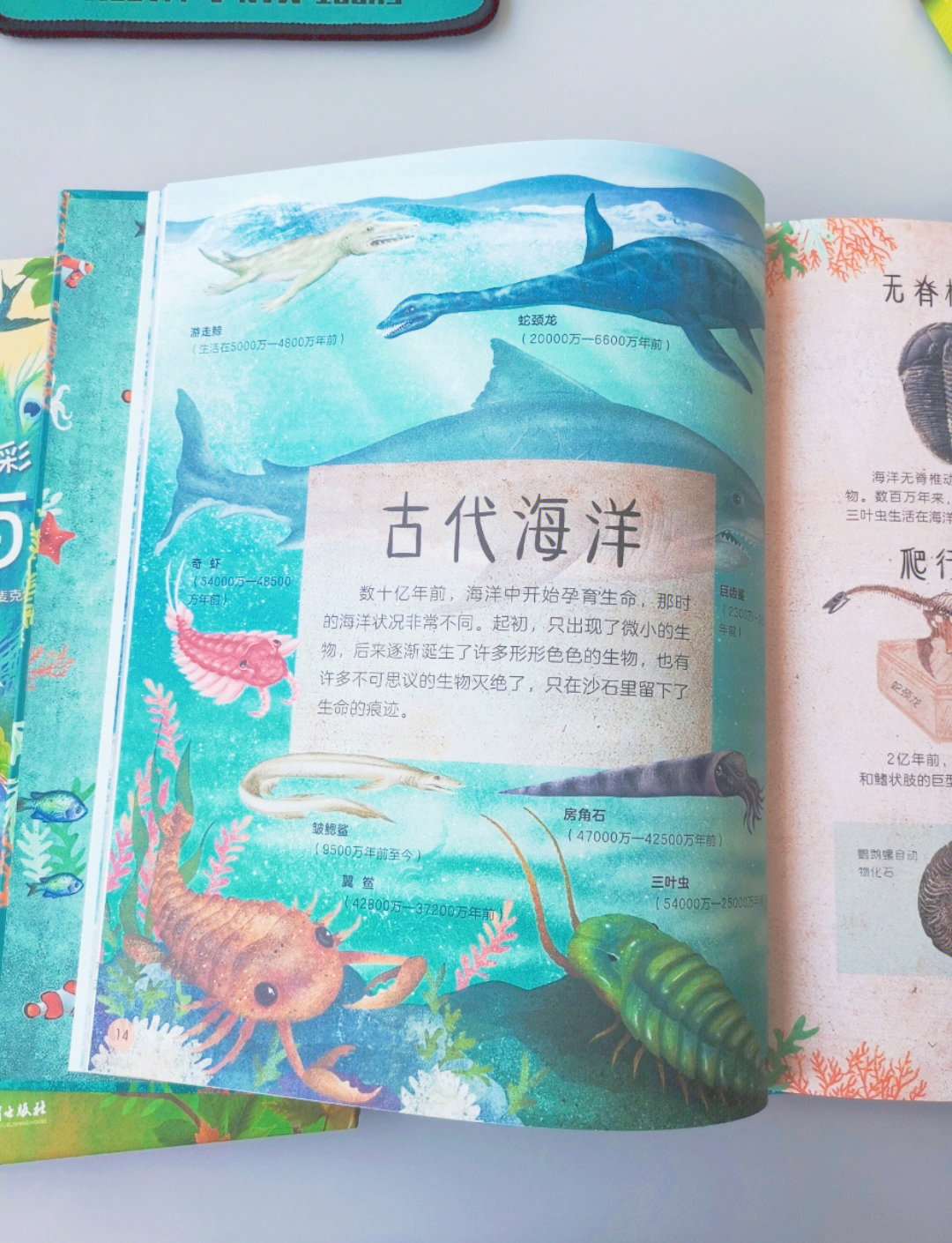 天堂中文在线资源库，探索无尽的知识海洋-第3张图片