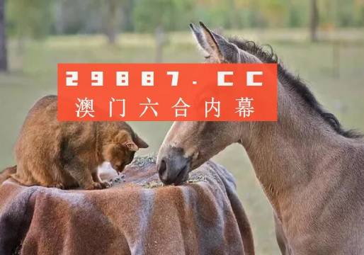 澳门资料大全正版资料2023年免费版-第2张图片