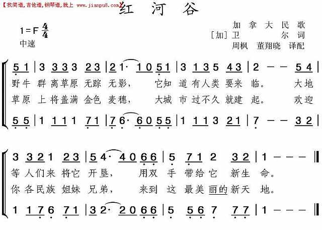 红河谷成人论坛视频红河谷成人论坛，探索成人交流的新天地
