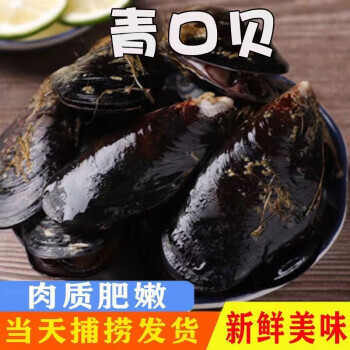 把腿再掰大点就能吃到贝壳把腿再掰大点就能吃到贝壳-第2张图片