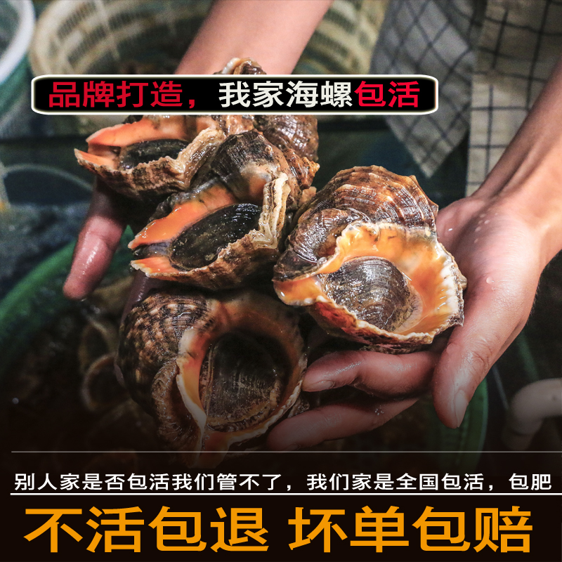 把腿再掰大点就能吃到贝壳把腿再掰大点就能吃到贝壳-第1张图片