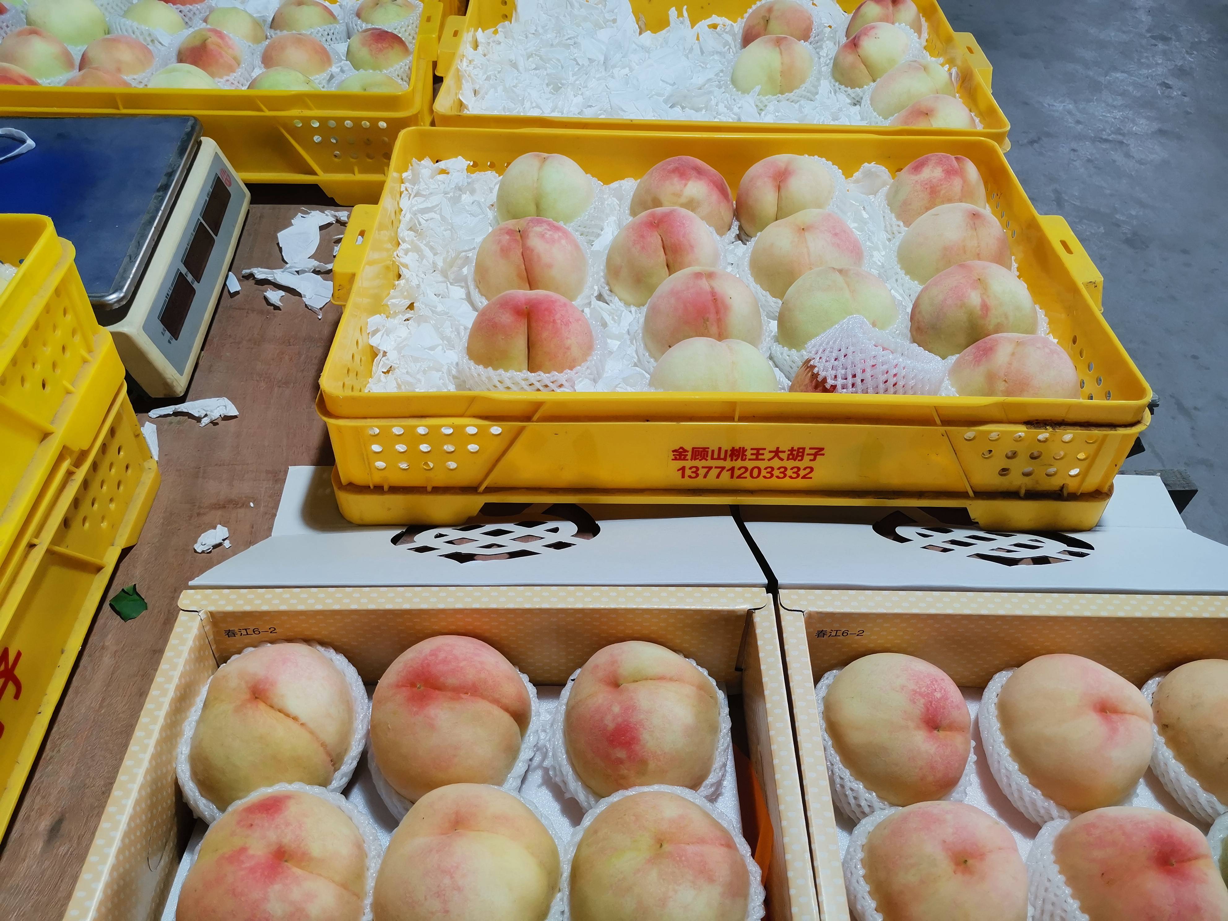 国精产品水蜜桃国精产品——水蜜桃-第3张图片