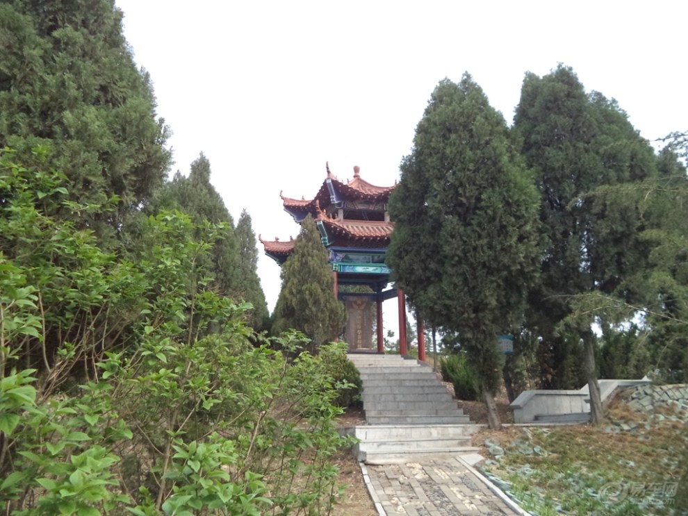 高清基地玫瑰花图片大全高清基地，未来发展的基石-第1张图片