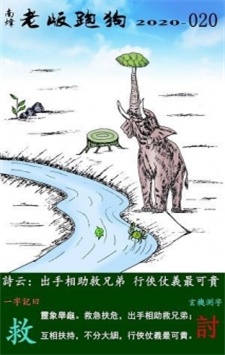 308二四六玄机资料大全-第1张图片