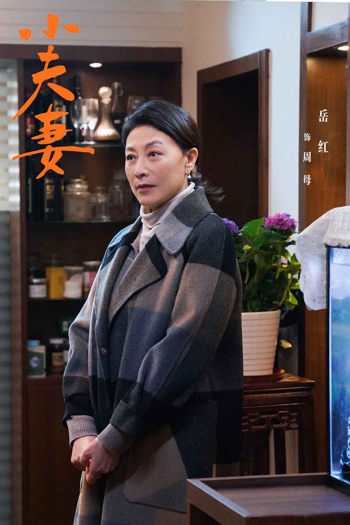 适合夫妻两个人看的电视剧有哪些适合夫妻两个人看的电视剧推荐-第2张图片