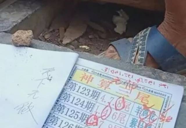 六和采开奖结果六和采开奖结果揭晓-第3张图片