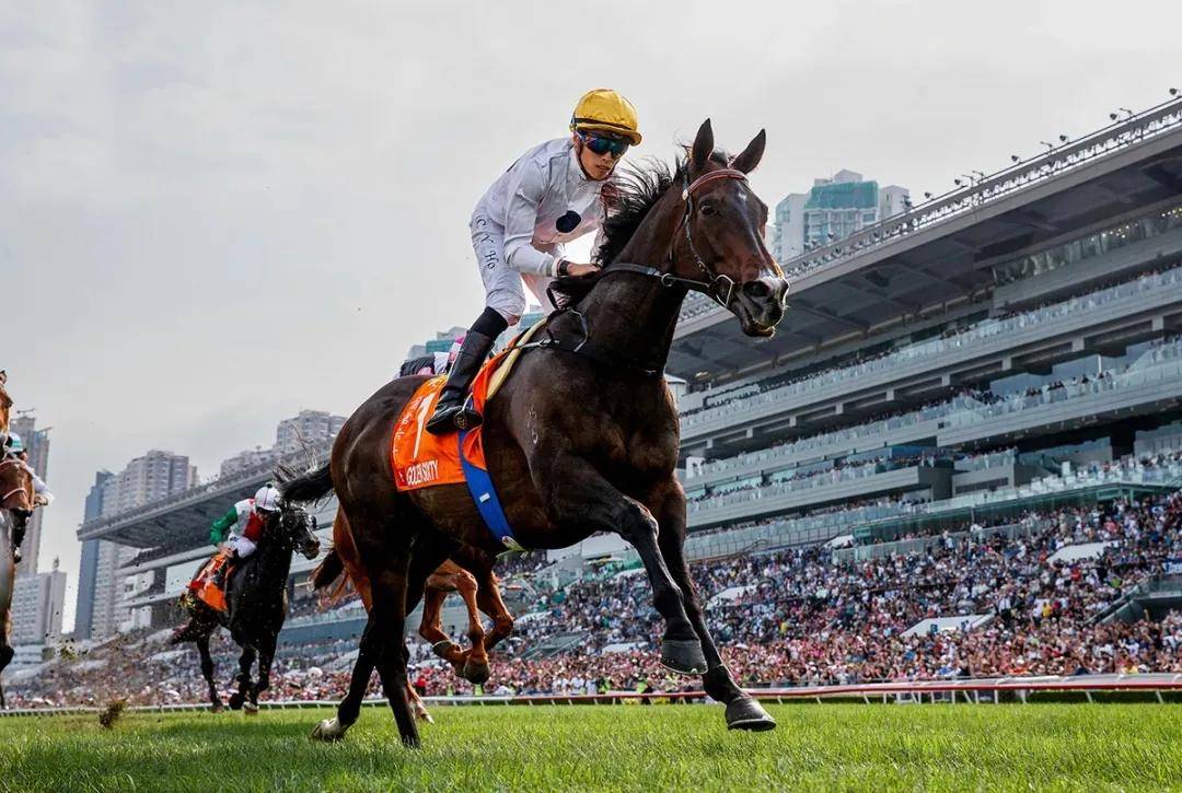 香港马会2019资料大全香港马会2019资料大全-第1张图片