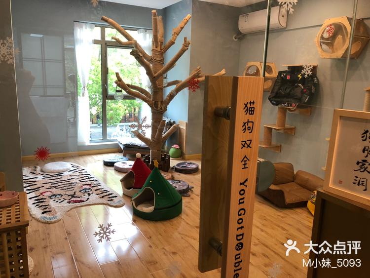 S如何调养M小狗