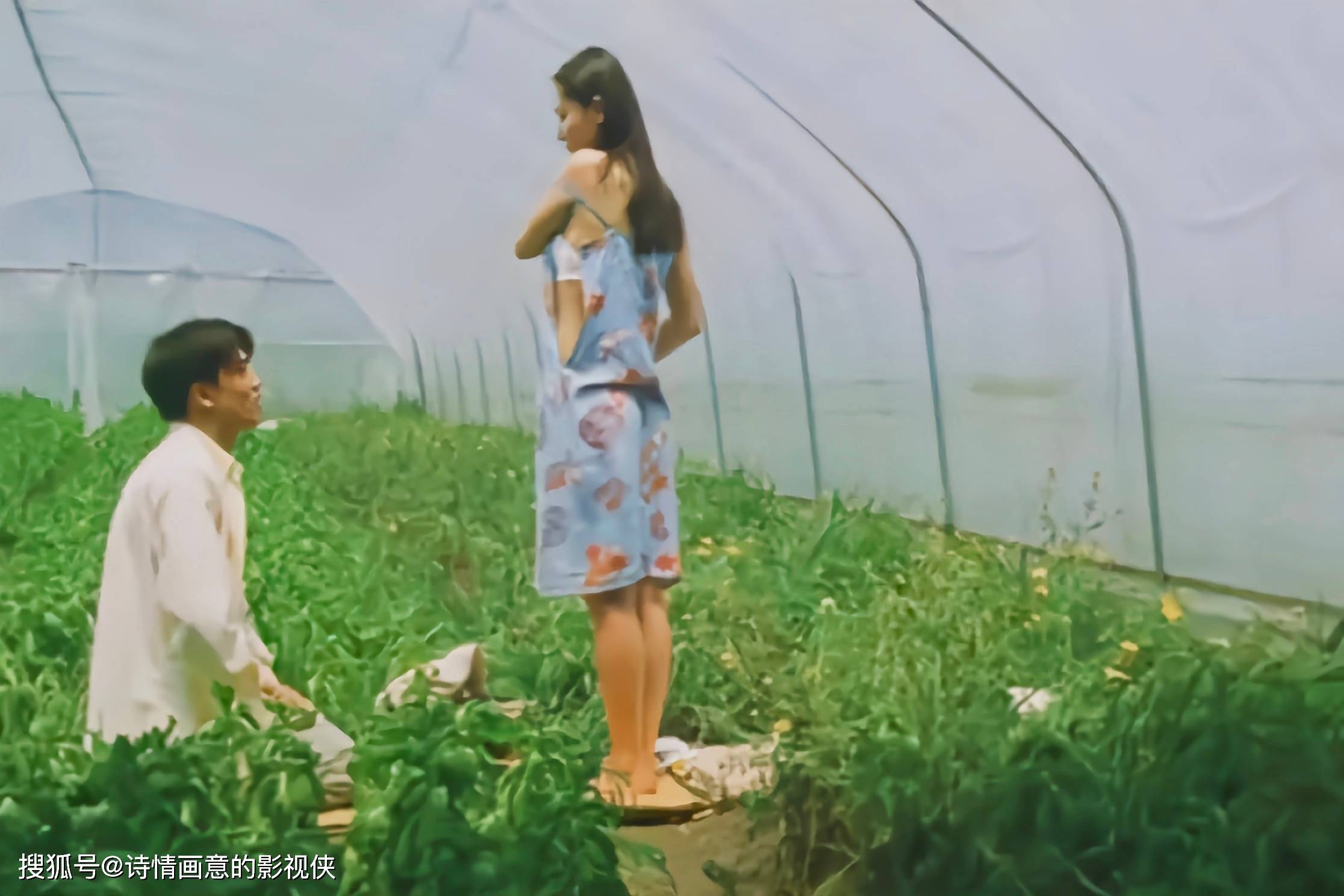 少妇搡BBBB，青春的激情与冲动-第1张图片