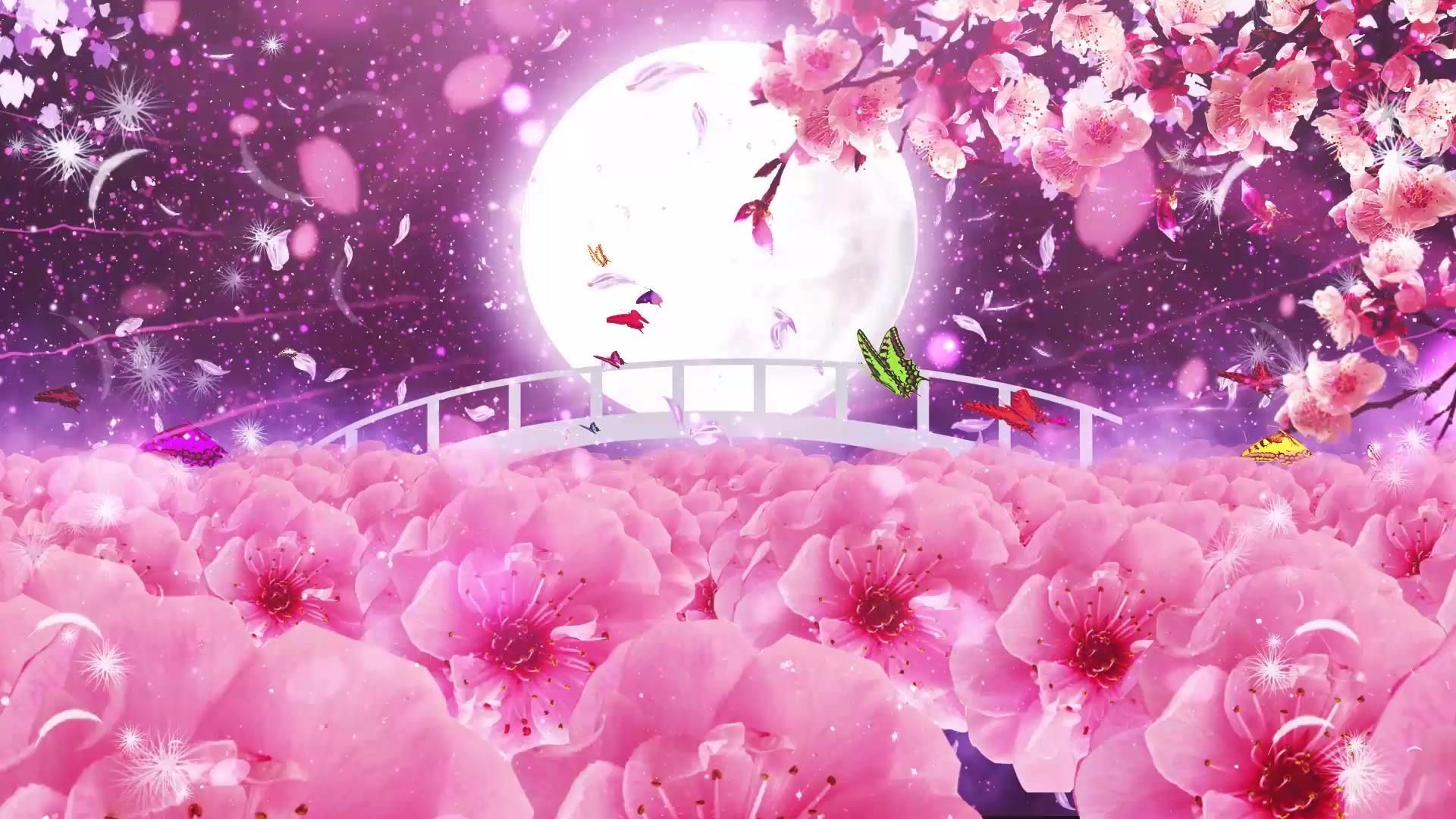 桃花视频下载视频免费桃花视频下载视频攻略