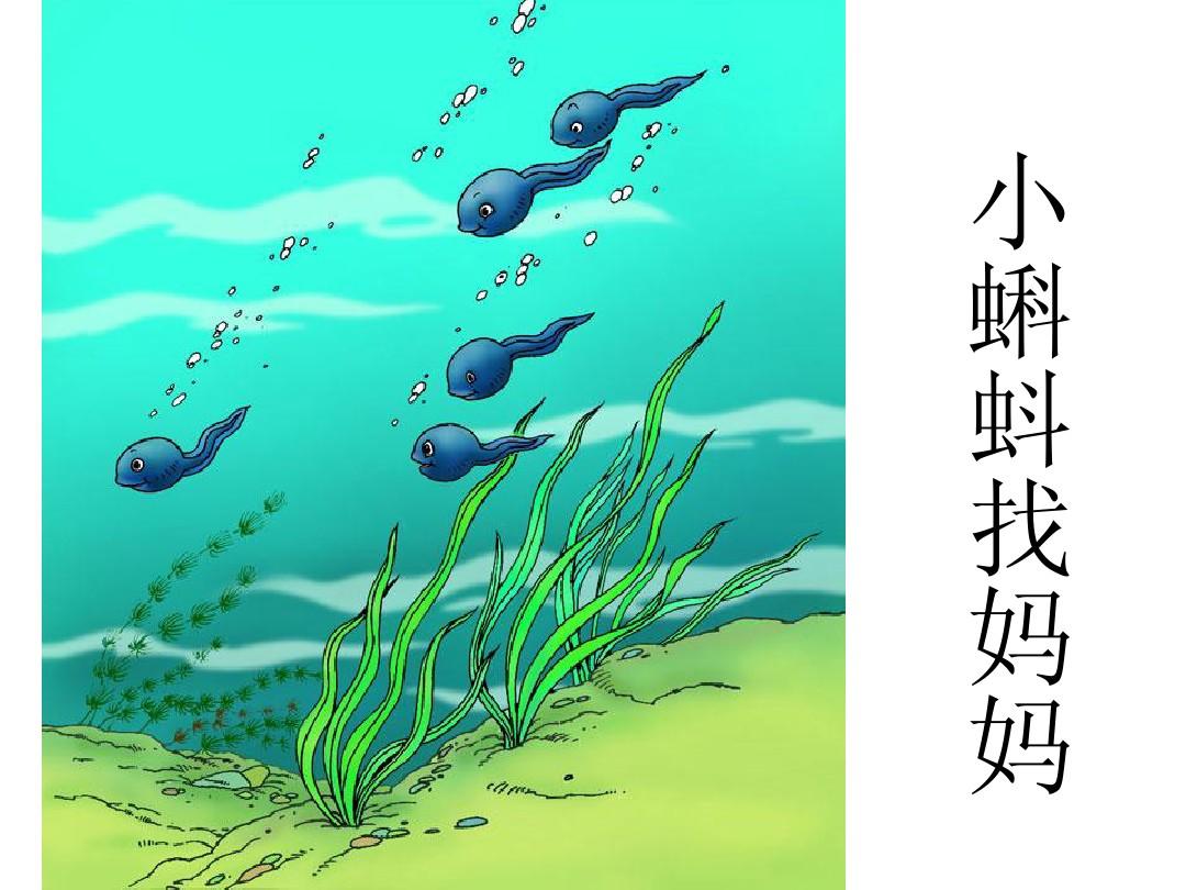 小蝌蚪视频在线观看免费观看下载小蝌蚪视频在线观看免费下载-第2张图片