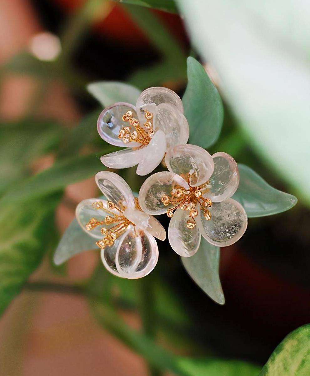 水晶花水晶花，美丽与神秘交织的花卉