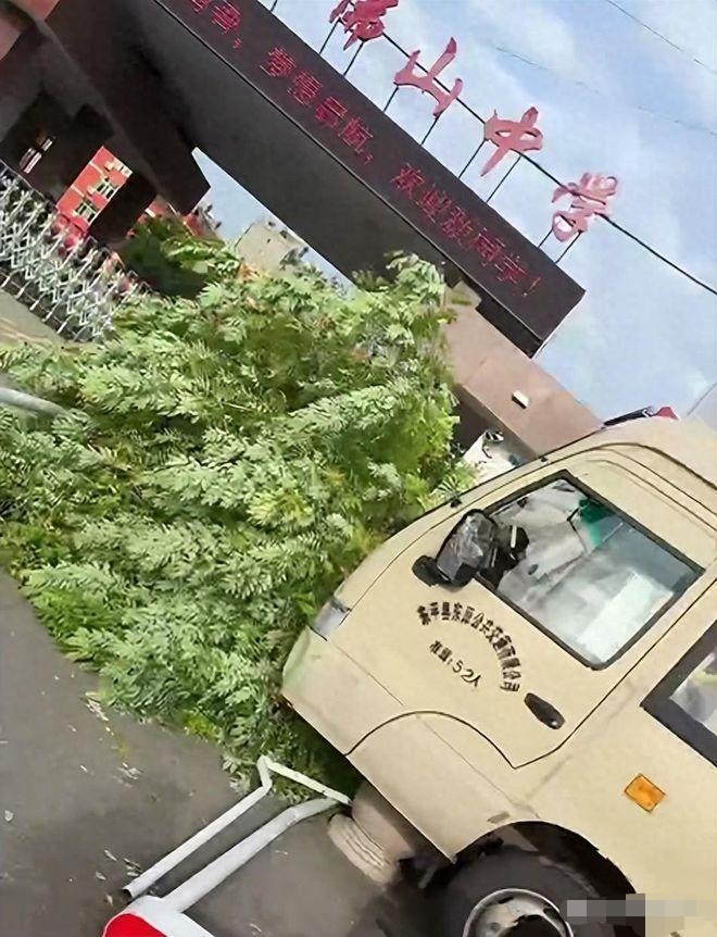 在公交车上被撞了八次高黄在公交车上遭遇八次惊险遭遇-第1张图片