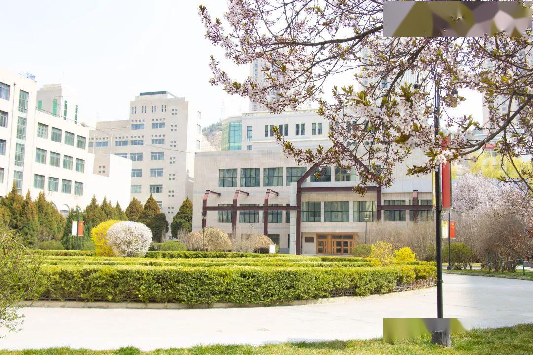 兰州城市学院瓜兰州城市学院瓜事件，校园里的甜蜜与争议-第3张图片