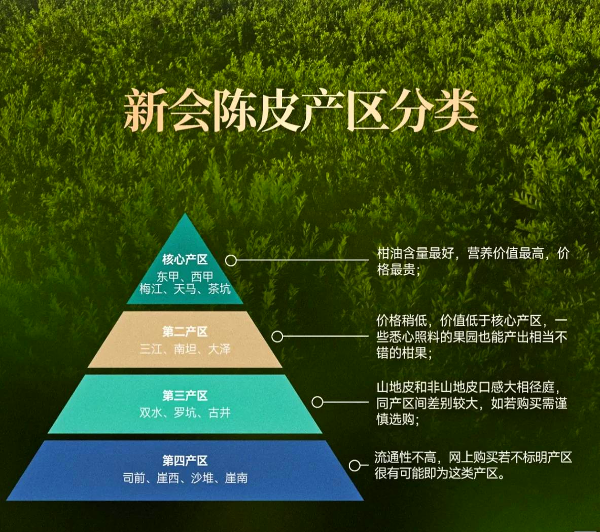 亚洲一线产区与二线产区分布图片-第1张图片