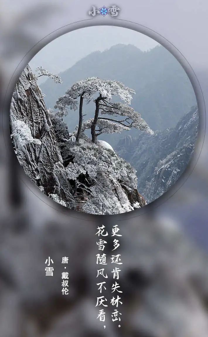 小雪把衣服解开给老杨摸饥渴的爱小雪解开衣服给老杨抚摸-第2张图片