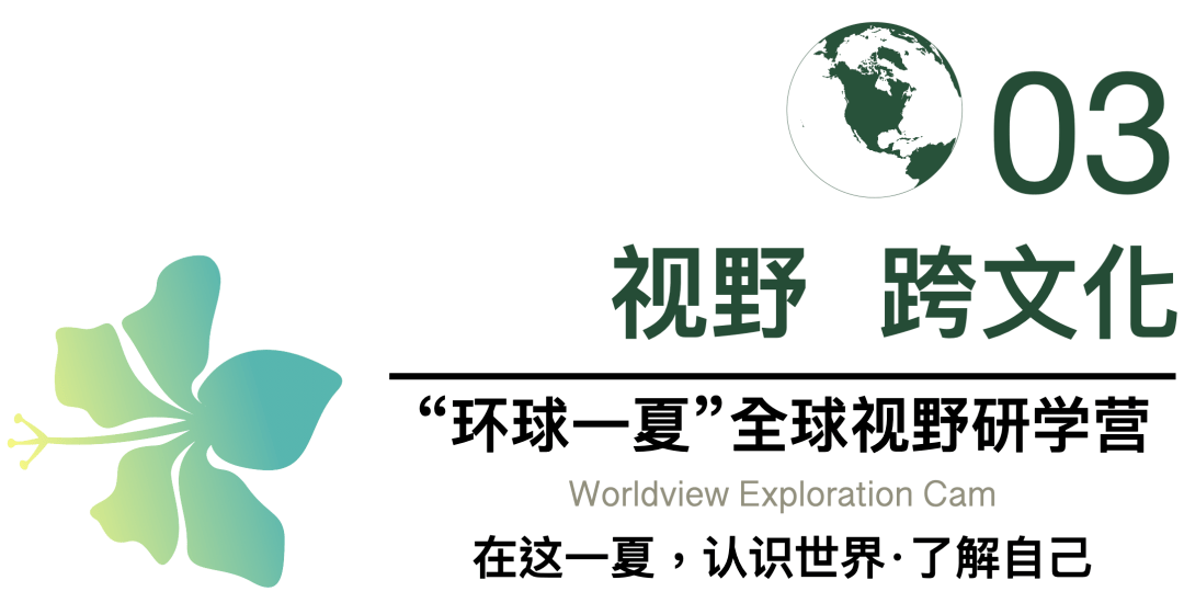 欧美日韩亚洲综合2019，多元文化与全球视野