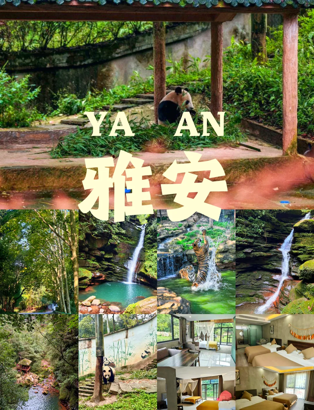 碧峰峡住宿碧峰峡住宿体验-第2张图片