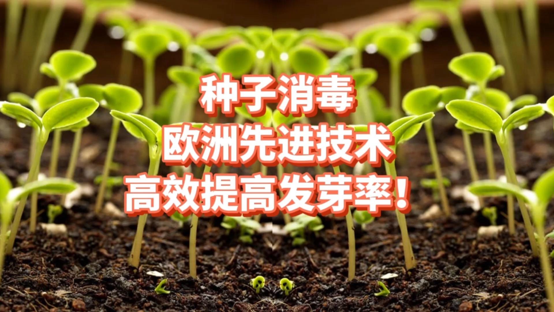 种子库资源在线种子库资源在线，开启高效农业的新篇章