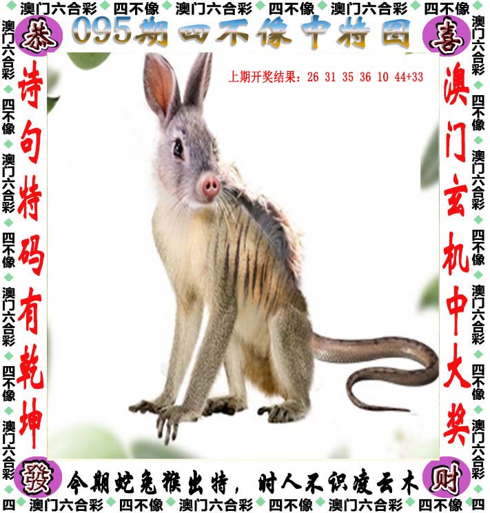 二四六天天好彩精选资料图片二四六天天好彩