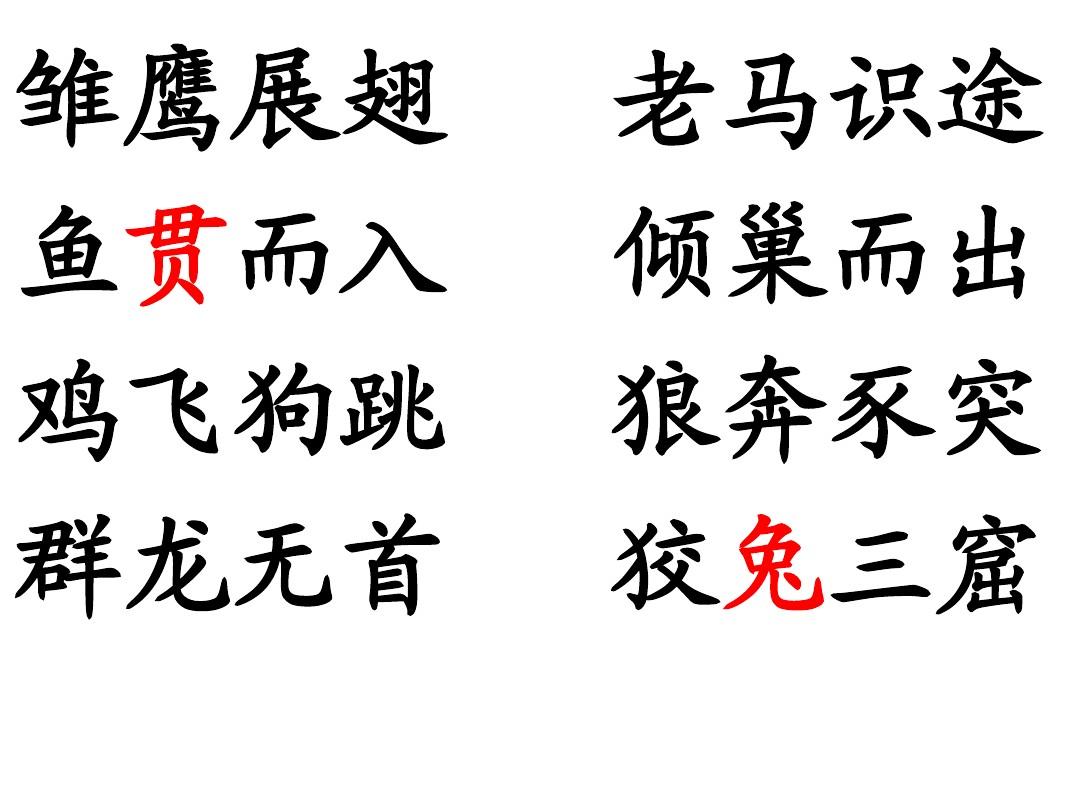 群龙无首是什么生肖？