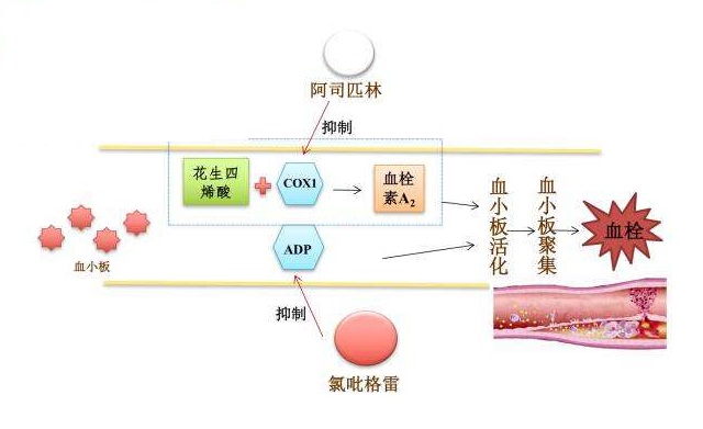 相对湿度po阿司匹林催熟百度网盘相对湿度与阿司匹林催熟-第2张图片