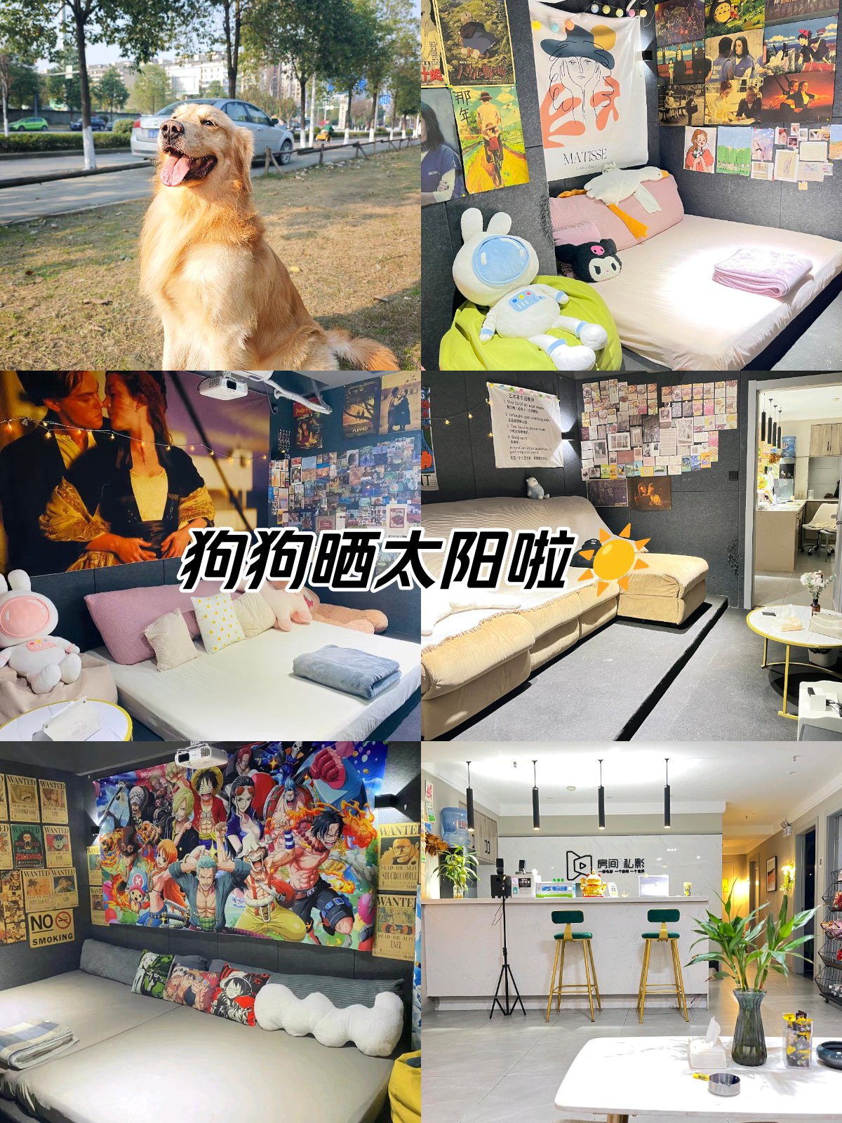 单身影院单身影院，情感共鸣与独自观影的独特体验