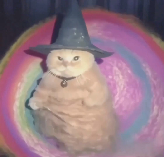 键盘猫键盘猫，键盘的魔法使者-第1张图片