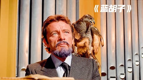 毁童话之毁格林童话蓝胡子小说毁童话之毁格林童话蓝胡子-第3张图片
